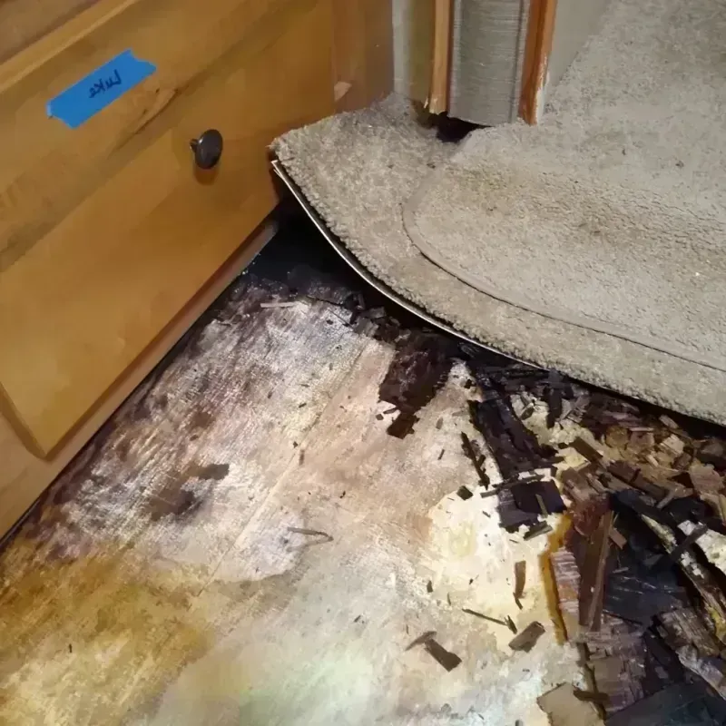 Wood Floor Water Damage in Goodwater, AL